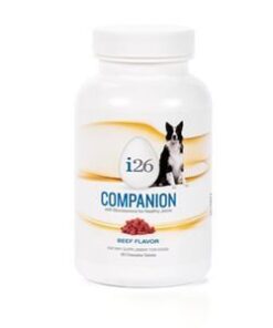 Dog Companion Chewable - Beef