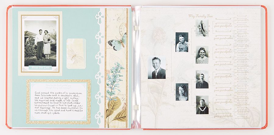 Miracles and Milestones by Katie Pertiet Border Strips - Image 4